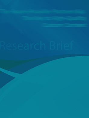 Related insights